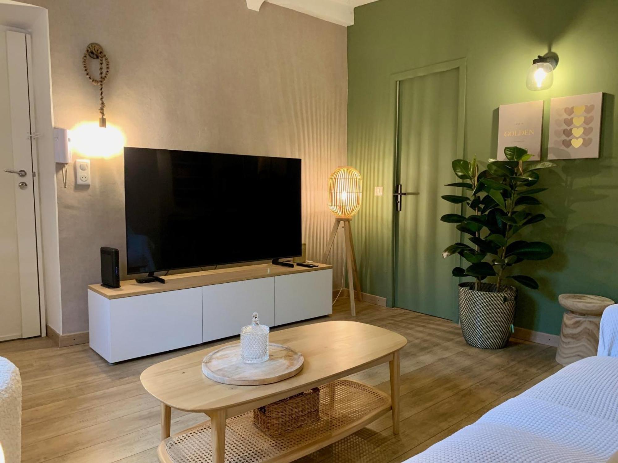 Apartment B G Le Cocon Du Temple Grimaldi - Promenade Des An *